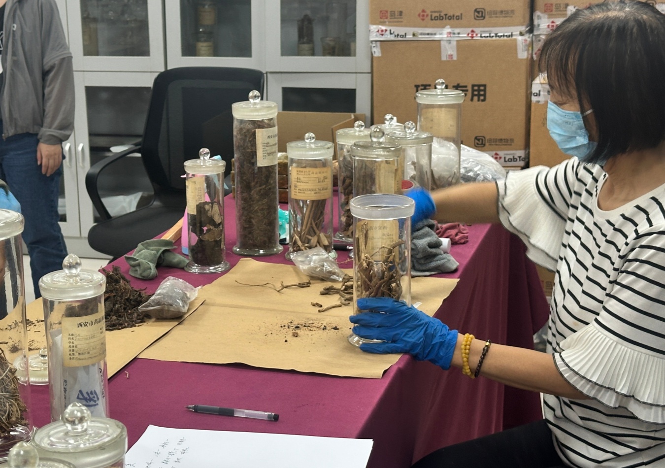 老標(biāo)本新面貌修復(fù)